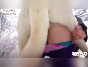 Zoo Skool: Compilation BAISE Chien Féroce