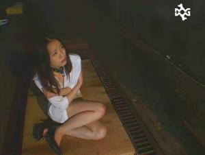 Woman and Dog - A Forbidden Encounter on Video