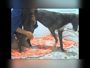 Brutal Bestiality: The Slut and Her Dog in Demonic Delights