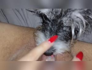 Bestiality sex video with dog