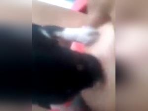 Salope suce son chien allaitement