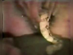 Bestiality video: a woman and a snake in an extreme experience