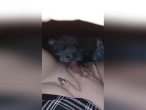 Bestiality sex video with a woman and her dog
