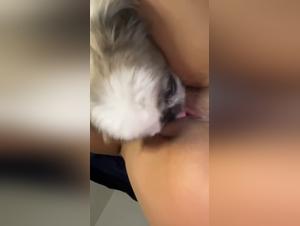 intense bestiality with dog