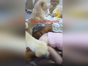 chinesische hundfrau besessen