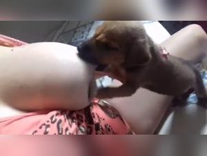 Sensitive Artistic Explorations: Zoo Art