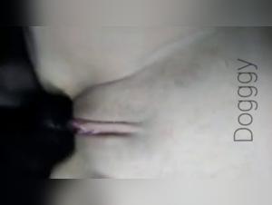 Forbidden Meeting: Woman and Dog