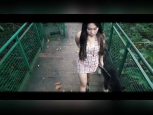 Extreme Bestiality: Husky Dog and Sexy Girls