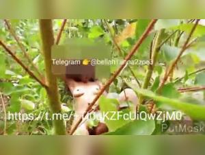 A Wild Encounter in the Jungle