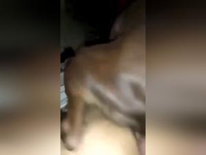 Unfaithful woman indulges in bestiality with dog