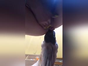 Forbidden Love: Woman and Dog