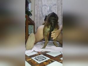 Unleash Your Fantasy: Extreme Dog Sex