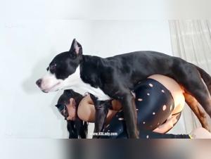 Bestiality with Dog: Mariam the whore