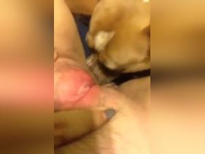 An unforgettable bestial encounter