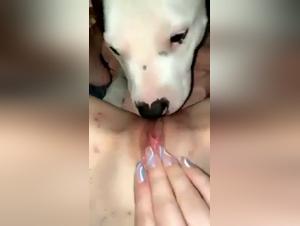 Unveiling Alyzoo's Dark Realities