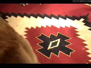 Chubby woman and dog: a bestiality video not to be missed