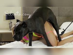 veronica silesto: taboo animal sex videos raw