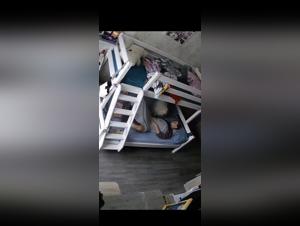Dog Cam Part1 - Zoophilia