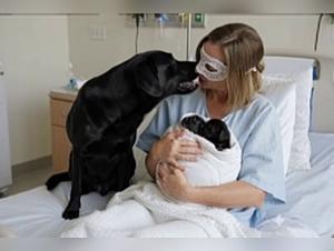 Mädchen wird von Hund vergewaltigt - Hardcore
