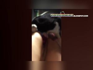 Bestialitat und extremer Sex: Eine Frau und ihr Hund