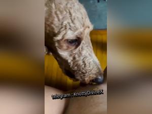 Women and Dogs: A Very Sexy and Erotic Relationship