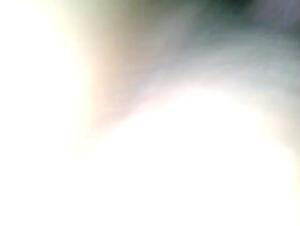 My ex-friend and her dog: a shocking story of bestiality