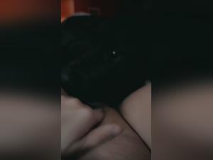 First Time Dog Licking Pussy - Taboo Bliss