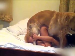 Slut Gets Fucked By Dog Pt.1
