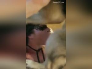 Bestial sex with a dog: a woman gets a blowjob