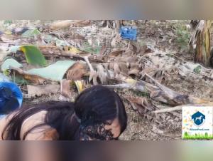 Liltimy zootaboo Andrea: a horny girl with a beastly attitude 