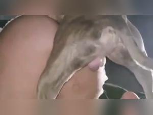 Bestiality: a woman and her dog