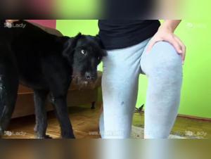 canine love beastporn