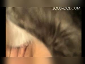 Exploracion Adulta Sin Censura: Zoo Porno y Tiersex