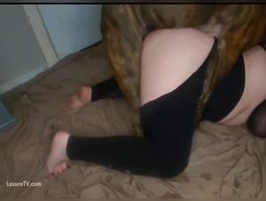 Forbidden Desires: Unveiling Tiersex Connections