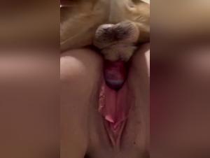 Zoo Art Brut : Baise avec Chien - Videos Extreme