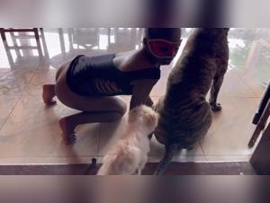 Intimate Moments with My Dog