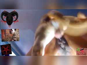 Perro salvaje viola a chica: Depósito explotado en sexo extremo