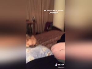 Forbidden Meeting: Woman and Dog