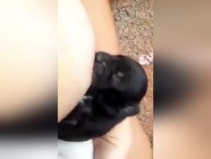 Puppy Breastfeeding: An Extreme Bestiality Sex Experience