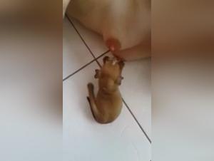 Feeding a puppy: a hardcore zoophilia scene