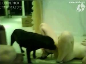 Forbidden Adventure: Exotic Woman and Dog