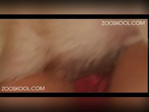 Zooskool - An extreme bestiality sex school