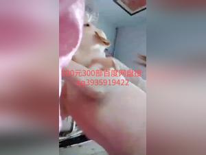  Cu Animal and Pet Sex for the Greatest Whores