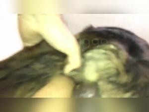 Beautiful Girl and Dog: An Exciting Sexual Encounter