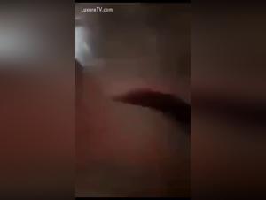 porno con animali hd