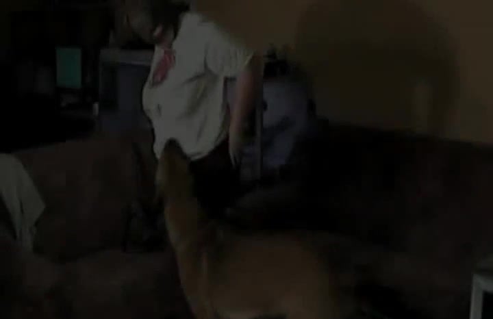 Compilation: Dog fucks with groupies
