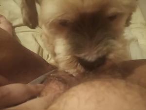 Intense sex scene with a dog