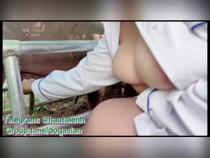 Sexpouvoir Asiatique : Chien Baise Salope