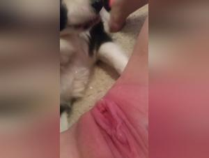 Zoophilia video: teenage girl relieves herself on a dog