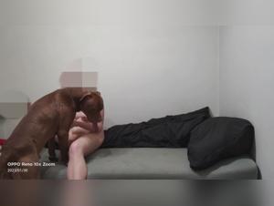 Polnische Mädchen Hund Sex 2